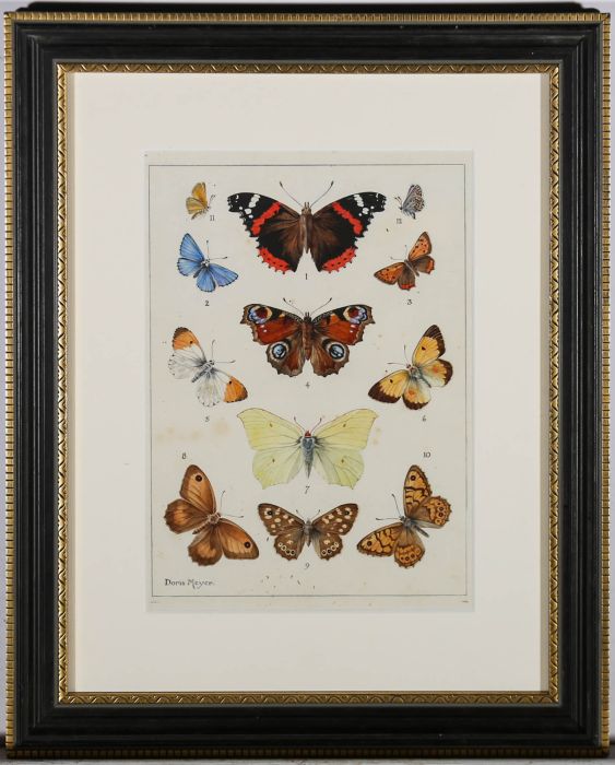 Doris Meyer - Framed Early 20th Century Watercolour, Butterfly Illustrations