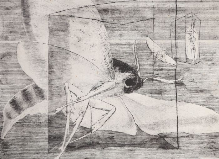 Frantisek Burant (1924-2001)  - 20th Century Etching, The Moth