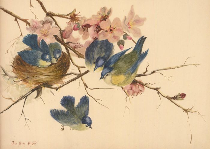 E.K - Initialled and dated 1893 Watercolour, The First Flight