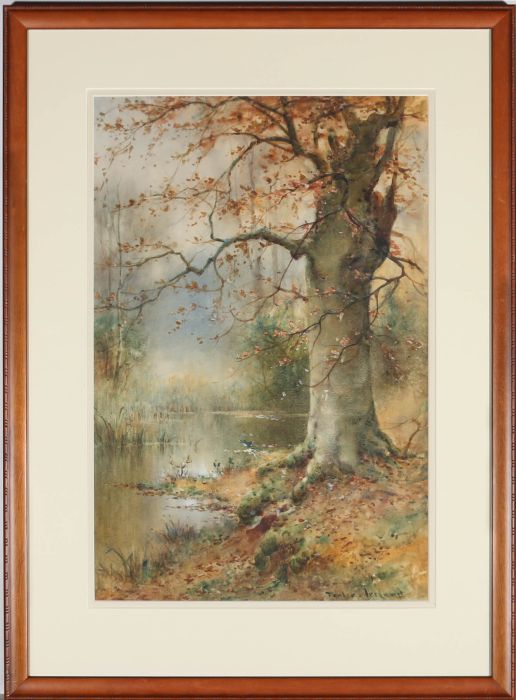 Thomas Ireland (fl.1880-1927) - Framed Watercolour, Autumn Beech