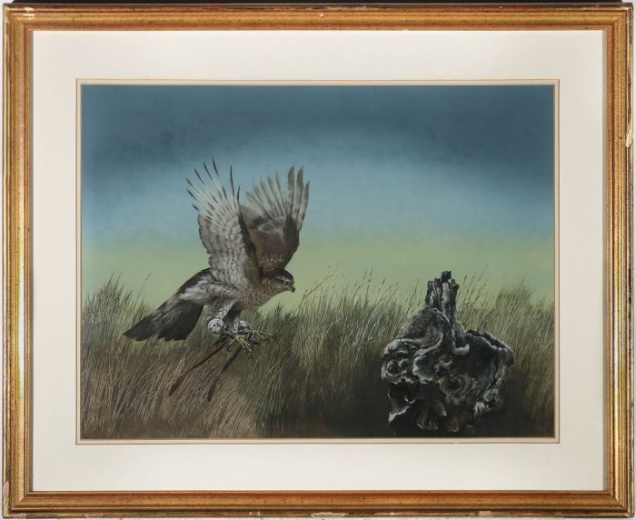 Martin Knowellden (b.1943) - Framed 1979 Gouache, Bird of Prey Landing