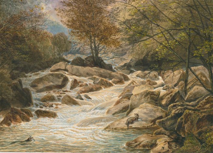 William Dickes  (1815-1892) - Late 19th Century Watercolour, The Otter's Catch