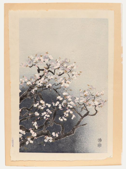 After Eiichi Kotozuka - Mid 20th Century Japanese Woodblock, Japanese Blossoms