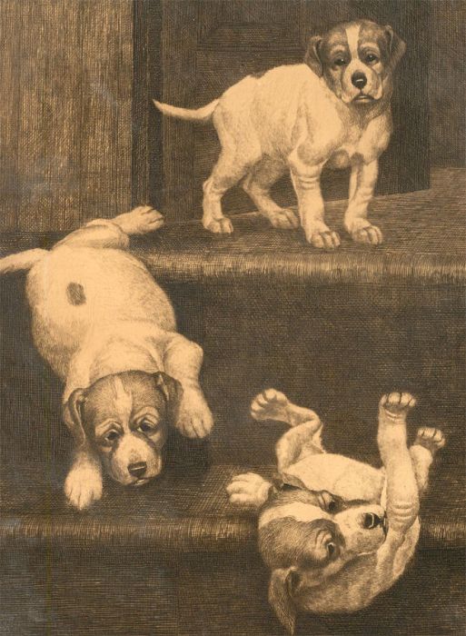 James Yates Carrington (1857-1892) - 1886 Etching, Puppies on the Stairs