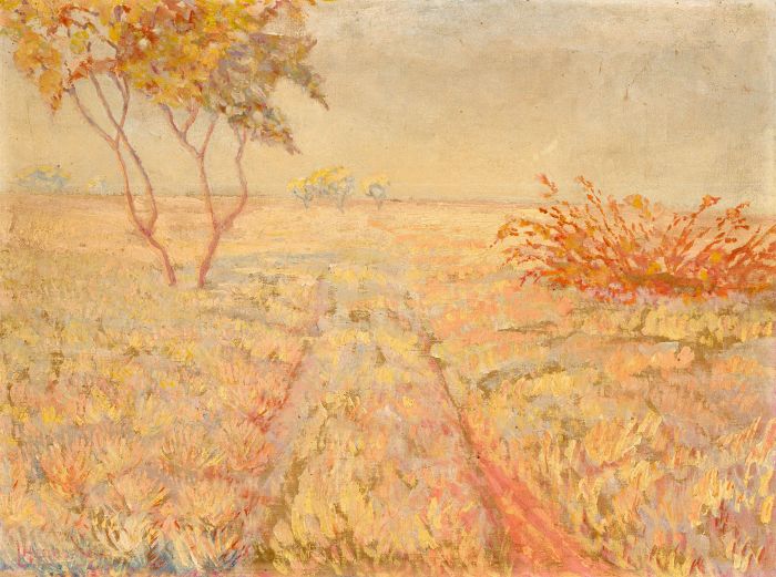 South African School 20th Century Oil - Savannah Landscape