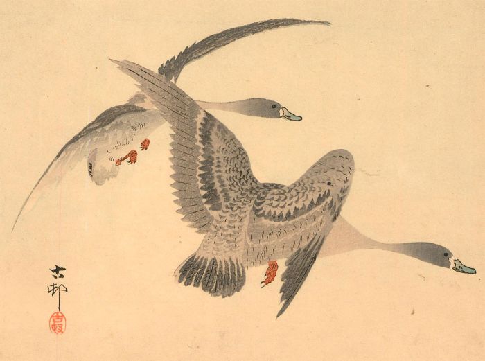 Ohara Koson (1877-1945) - c.1920 Japanese Woodblock, Geese in Flight