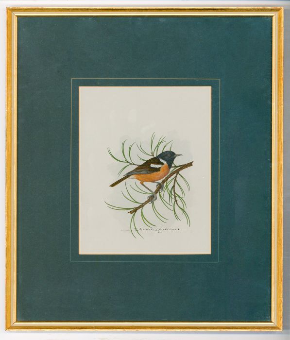 David Andrews (b.1938) - Framed 20th Century Watercolour, Stonechat