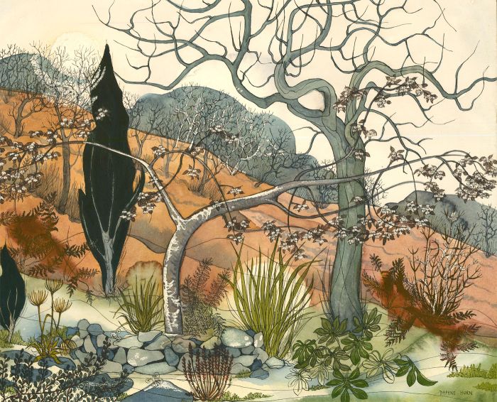 Daphne Hurn - 20th Century Watercolour, First Signs of Spring