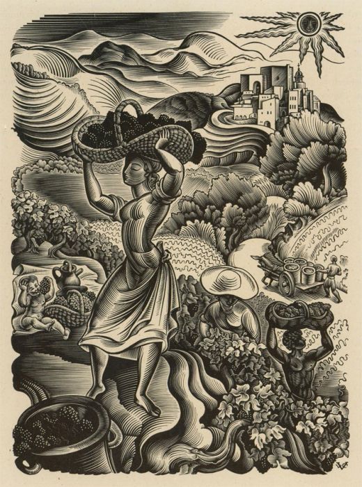 Valentin le Campion - French Mid 20th Century Photogravure, Summer Fruits