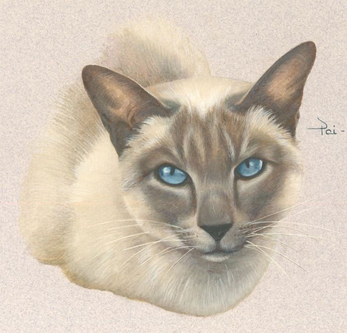Diane Rosher - 20th Century Watercolour, Study of Cats