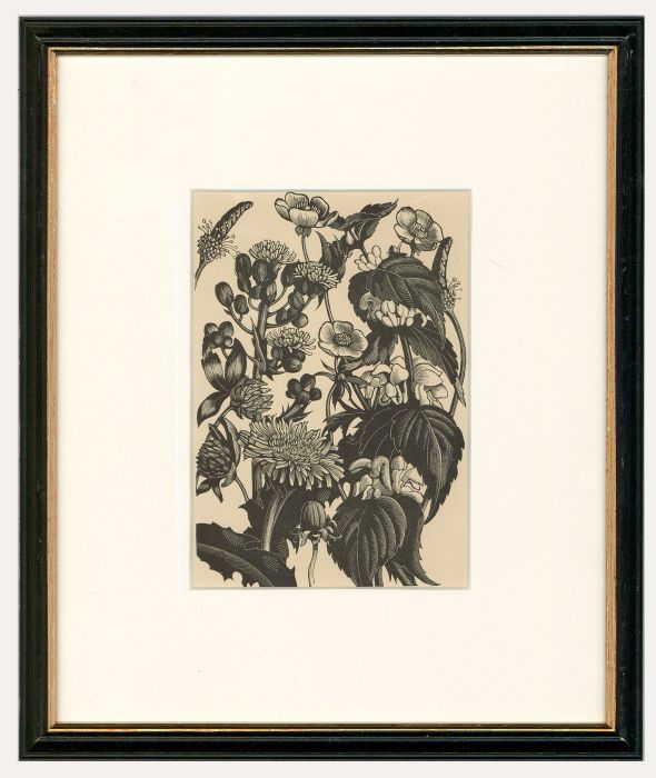 Clare Leighton (1898-1989) - Framed Wood Engraving, Dandelions & Buttercups