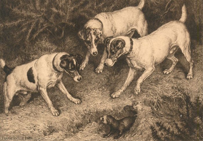 Frank Paton (1856-1909) - 1881 Etching, Not At Home