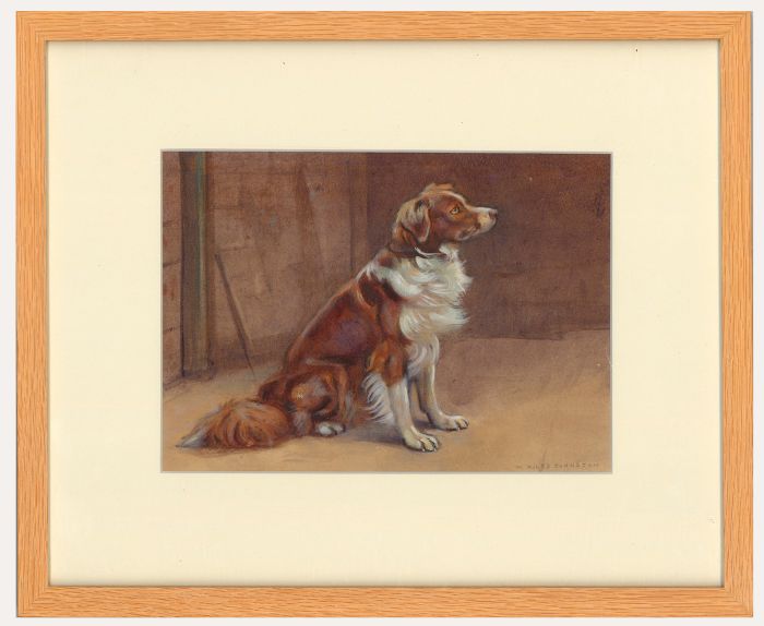 William Miles Johnston (1893-1974) - Watercolour, Portrait of a Border Collie