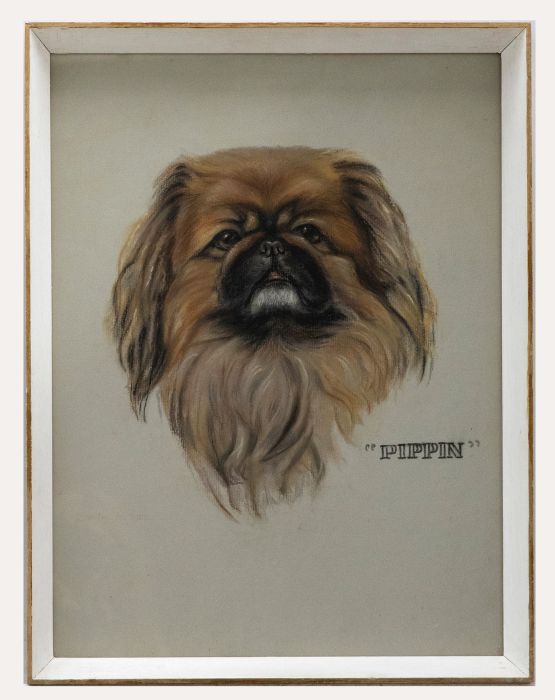 Dorothy Mather - Framed 20th Century Pastel, Portrait of Pippin