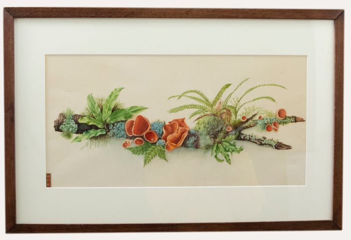 Early 20th Century Watercolour - Study of a Branch
