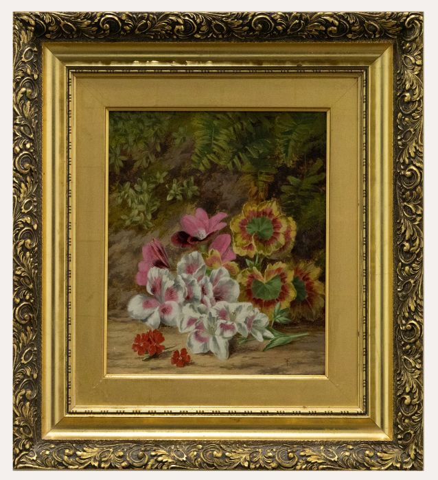 Thomas Collins (fl.1857-1893) - Framed Oil, Pink Primrose & Geranium Leaves