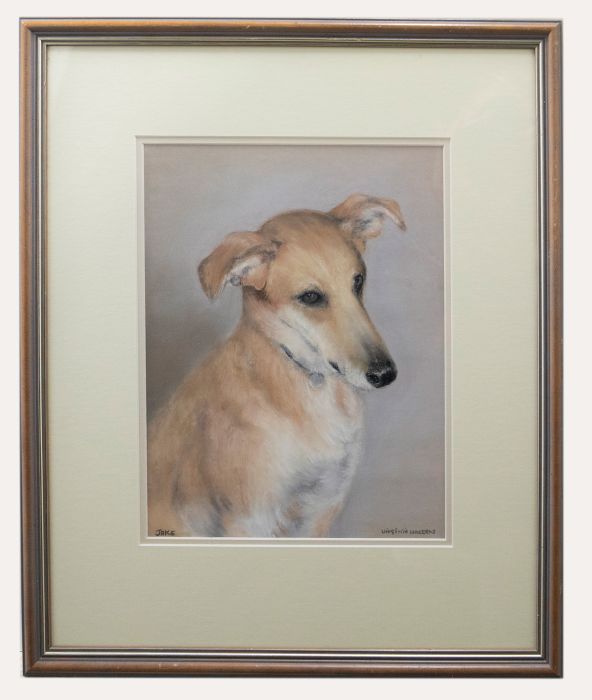 Virginia Walters - Framed Contemporary Pastel, Portrait of a Golden Whippet