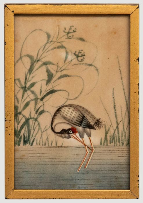 Miniature 19th Century Watercolour - Red-Crowned Crane