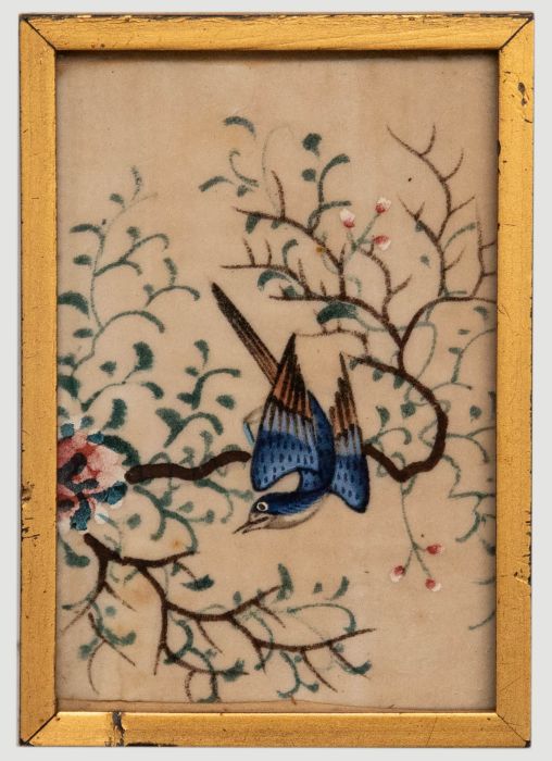 Miniature 19th Century Watercolour - Exotic Blue Bird