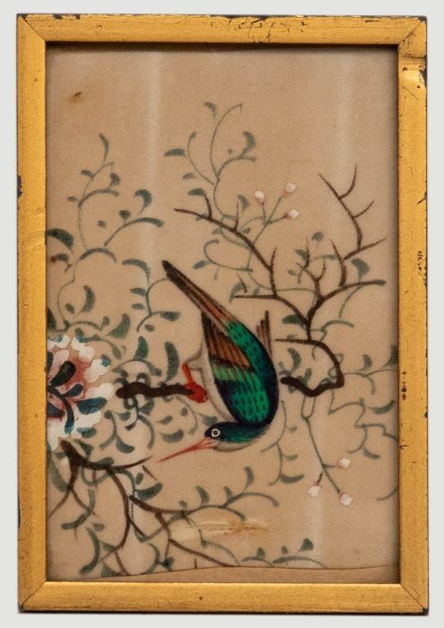 Miniature 19th Century Watercolour - Exotic Green Bird