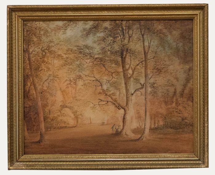 19th Century Watercolour - Woodland Scene