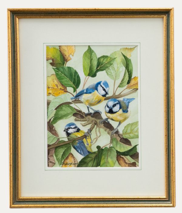 John Dryburgh - 2005 Watercolour, Bluetits