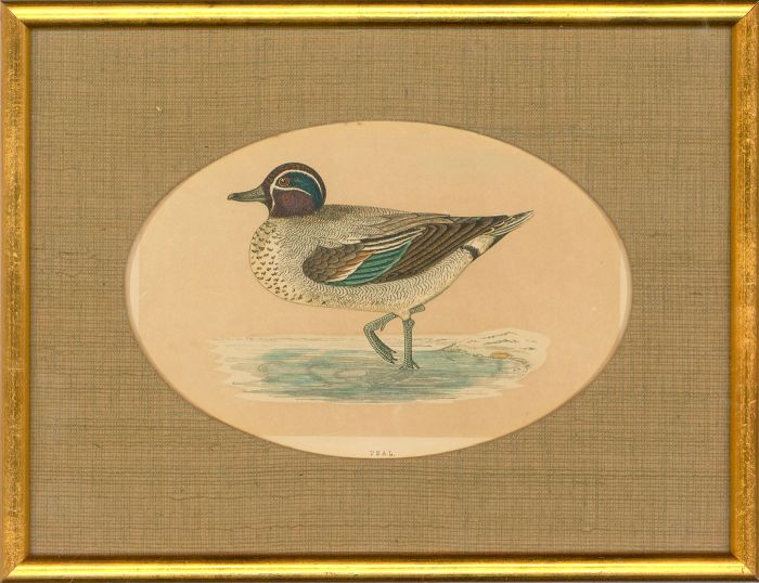 Alexander Francis Lydon (1836-1917) - Pair of Ornithological Wood Engravings