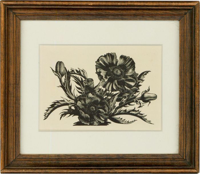Clare Leighton (1898-1989) - Mid 20th Century Wood Engraving, Poppies