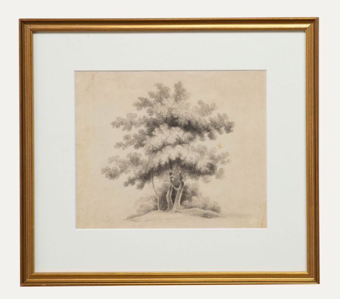 R. Cumming - Early 19th Century Ink Drawing, Trees in a Field at Camberwell