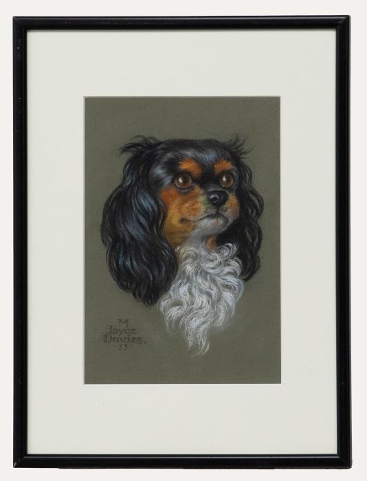 M. Joyce Davies - Mid 20th Century Pastel, Portrait of a Cavalier King Charles