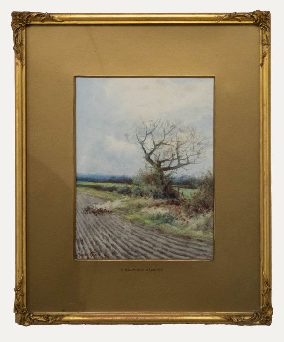 Alexander Molyneux Stannard (1878-1975)- Framed Watercolour, An Autumn Hedgerow