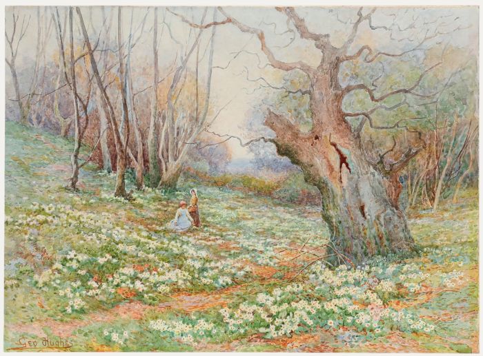 George Hughes (1813-1858) - Watercolour, Woodland Scene in Early Spring 
