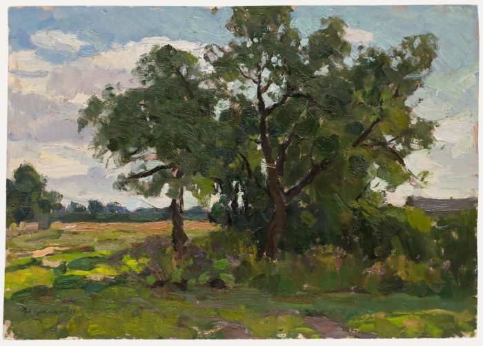 1950 Oil - Ancient Trees