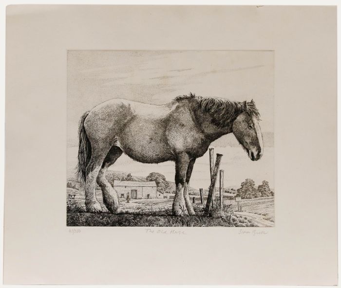 Simon Bull - 20th Century Etching, The Old Horse
