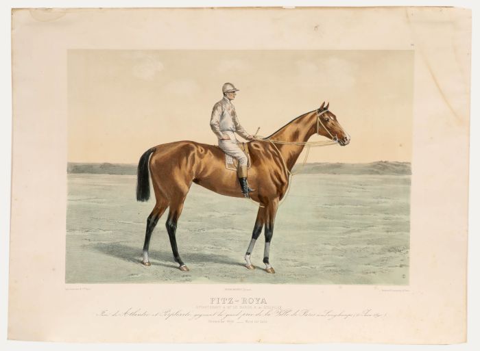 Joseph Lemercier - 19th Century Lithograph, Fitz-Roya