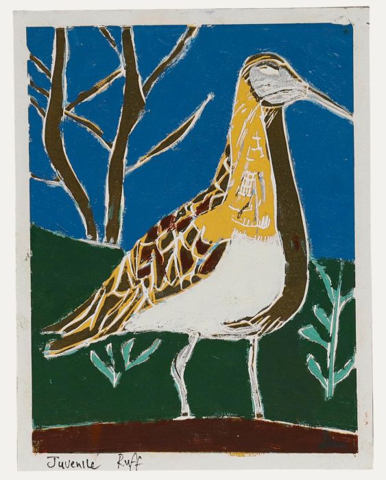 Ben Carrivick - Contemporary Linoprint, Juvenile Ruff