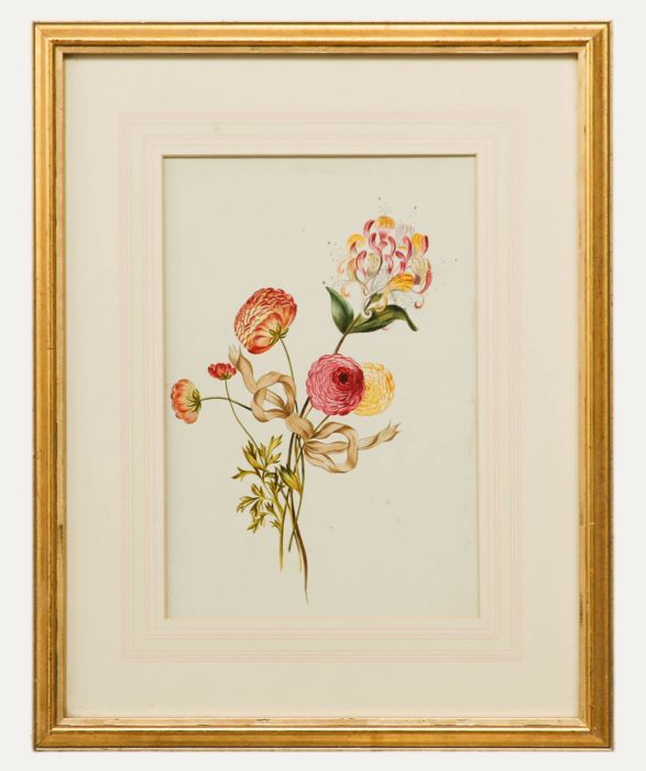 19th Century Watercolour - Ranunculus