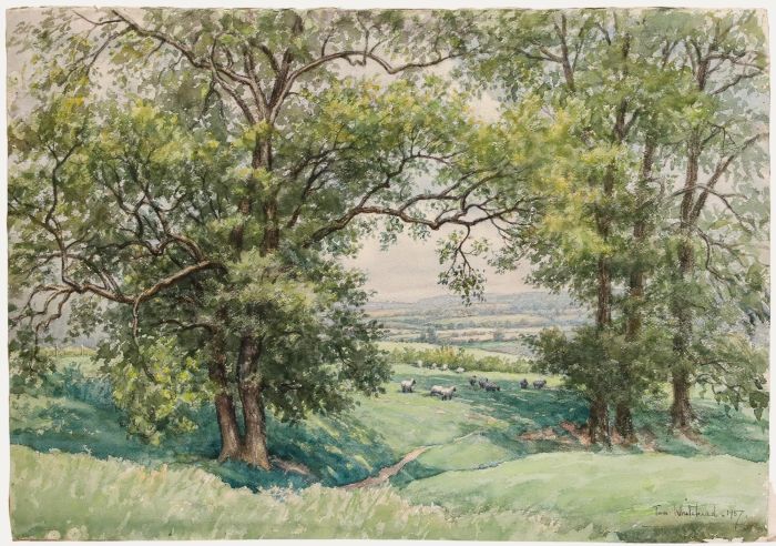 Tom Whitehead - Mid 20th Century Watercolour, Landscape with Sheep