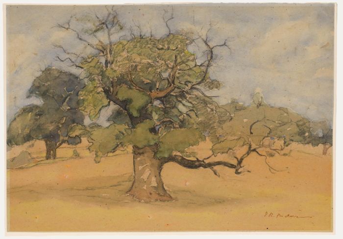 David R. Anderson - Mid 20th Century Watercolour, The Old Tree