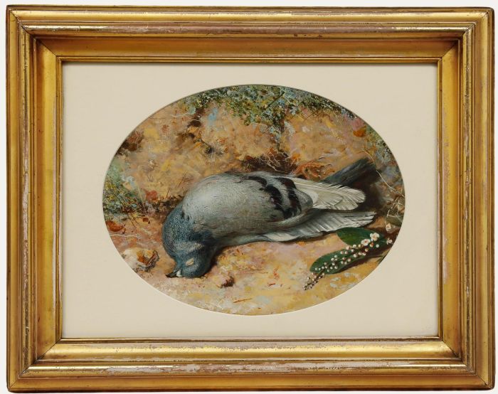 Victorian 1852 Watercolour - Dead Cushat