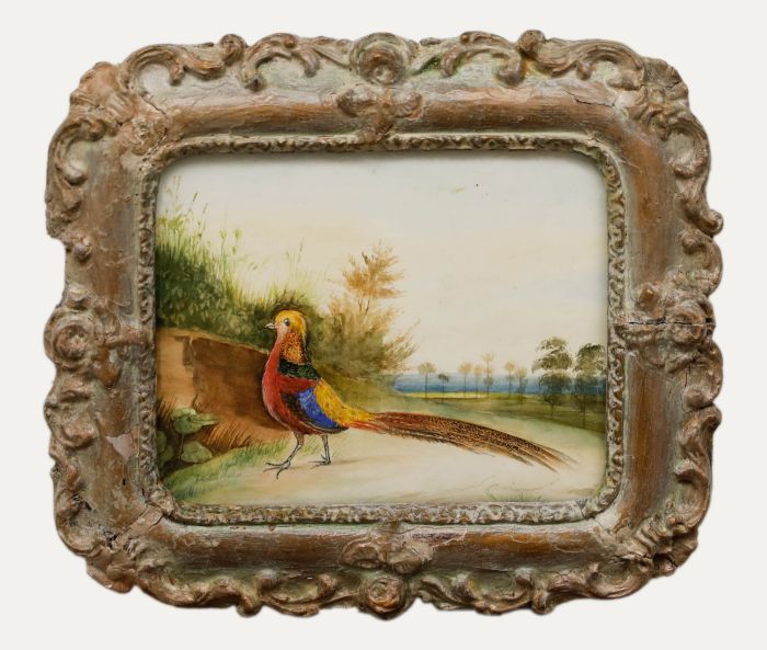 Late 19th Century Watercolour - A Golden Pheasant