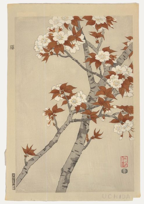 Nisaburo Ito (1910-1988) - Mid 20th Century Japanese Woodblock, Cherry Blossom