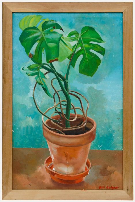 Bill Bolger (1940-2024) - 20th Century Oil, Monstera