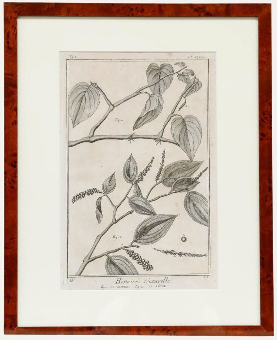 Robert Béenard (1734-1794) - 18th Century Engraving, Le Pivre & Le Betel
