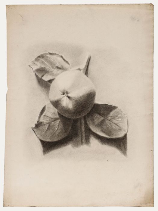 19th Century Graphite Drawing - Study of an Apple