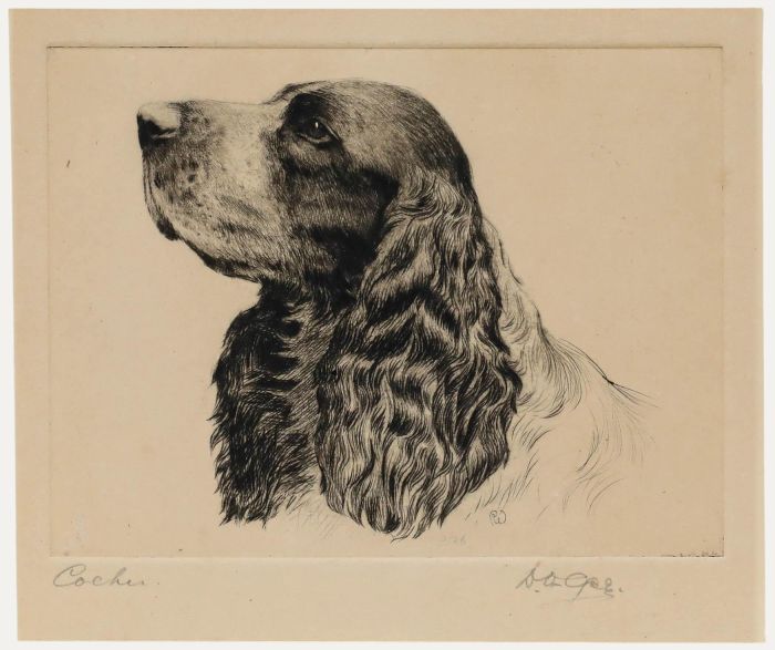 David Gee - Early 20th Century Etching, Cocker