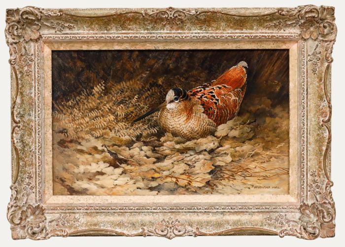 Berrisford Hill (b.1930) - 20th Century Oil, Study of a Woodcock
