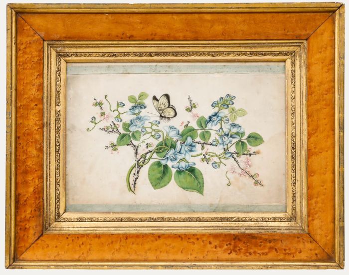 Chinese 19th Century Watercolour - Butterfly Amongst the Flowers