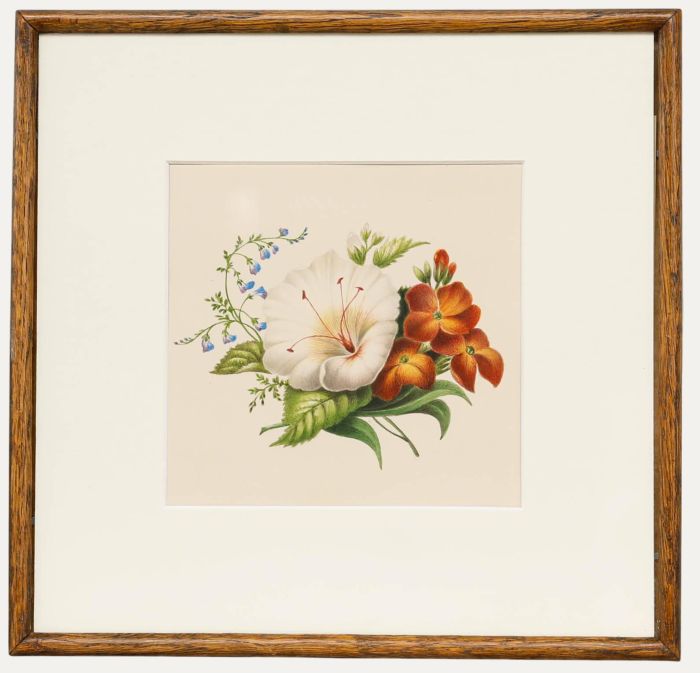 Sophia Katherine Charleton (1789-1844) - Watercolour, Hibiscus with Wallflowers
