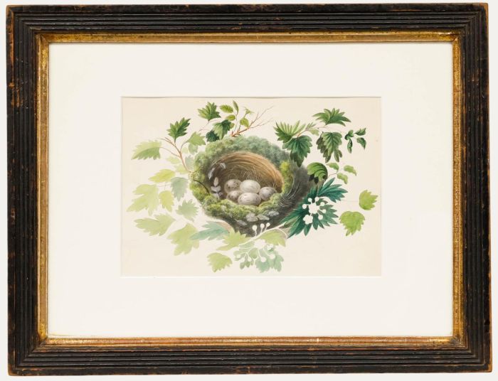 Sophia Katherine Charleton (1789-1844) - Watercolour, Nest Amongst the Foliage